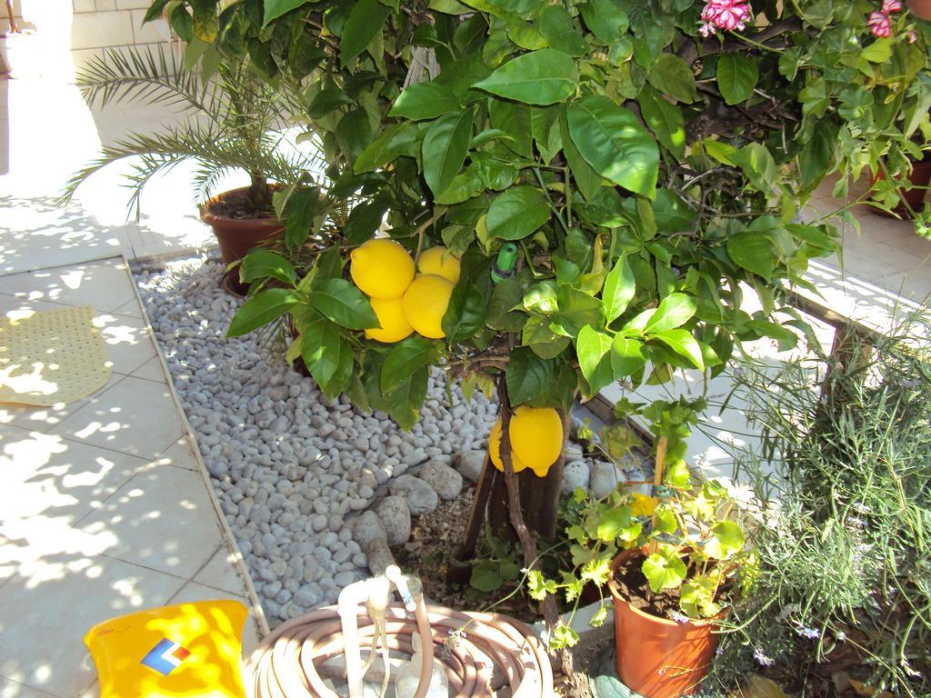 Apartment Lemon 두브로브니크 외부 사진